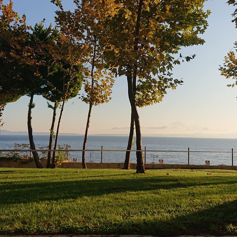 Wiese mit Bäumen und Meerblick hinter der Anlage von Frosch Sportreisen in Kriopigi Griechenland